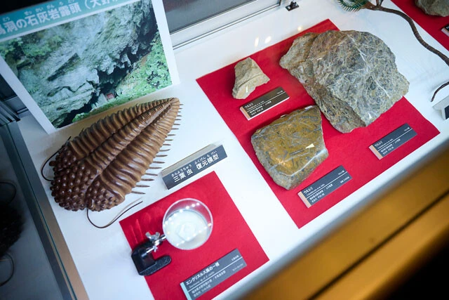 資料館の「ガ・オーノ」には、恐竜に限らずアンモナイトや三葉虫などの資料も豊富に保管されている