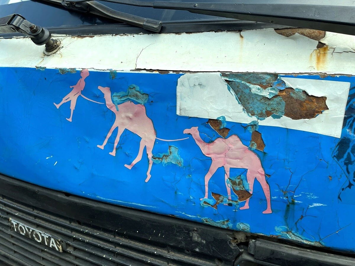 ラクダをめぐる冒険3～アディスアベバ、セベタ（4）【「新型コロナウイルス学者」の平凡な日常】