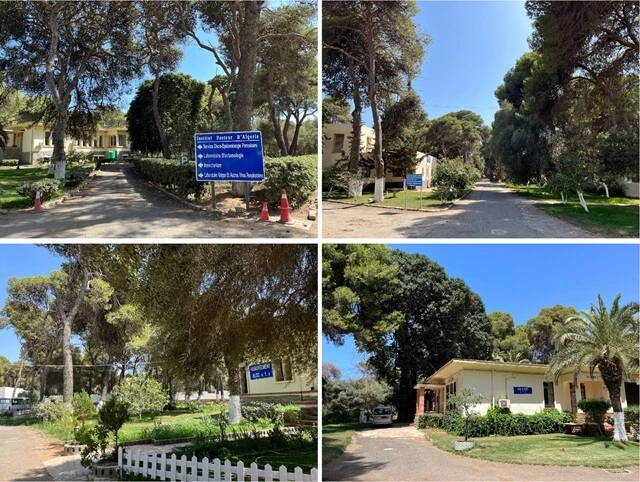 最初に訪れたサブキャンパス。キャンプ場のコテージのように、小さな建物が広いキャンパス内に点在していた。