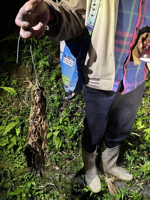 「サパの森」から戻る途中で遭遇した「ローカルピープル」。その手には、その日に捕獲したたくさんの蛙が紐で吊るされていた。