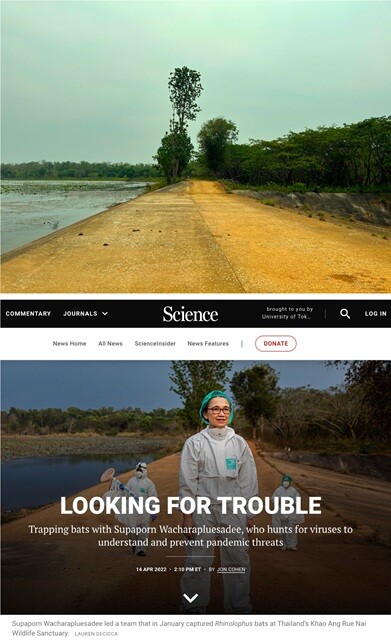 （上）私が訪れた、チャチューンサオのサンプリングサイト近くの道。（下）科学雑誌『サイエンス』に実際に掲載された写真。こういうのも、実際の現場に触れることでテンションが上がる。要は「聖地巡礼」である。