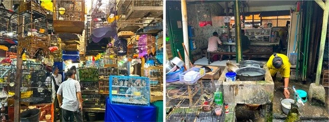 （左）上下左右にびっしり鳥かごがひしめいた市場。（右）それに併設する形で、食堂まであった（写真奥に見えるのが食堂）。無数の鳥の飼育の横で、調理器具を水洗いしていた。