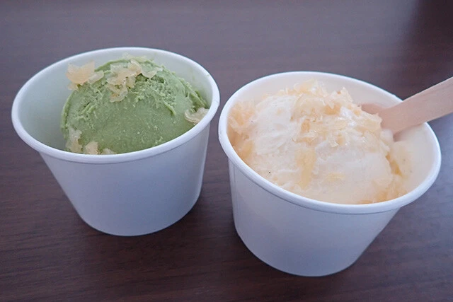 軽食販売店「御休処 波の華」ではクラゲ入りのクラゲアイスが人気