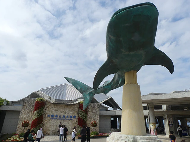 ここで発見された新種のイソギンチャクが2種も！【沖縄美ら海水族館】（撮影／泉 貴人）