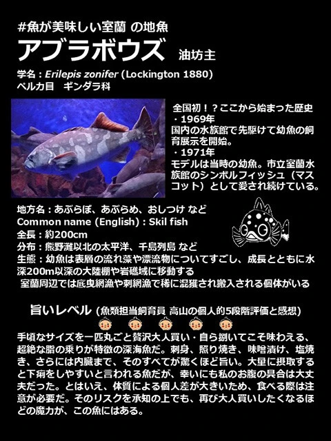 展示板には生物の解説だけではなく、飼育員による詳細な食リポまでが記されているのもこの水族館の特徴だ