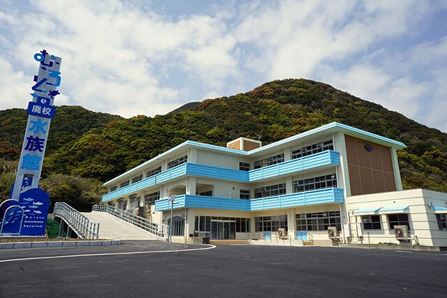 跳び箱の中で魚が泳ぎプールでサメがのんびり【むろと廃校水族館】