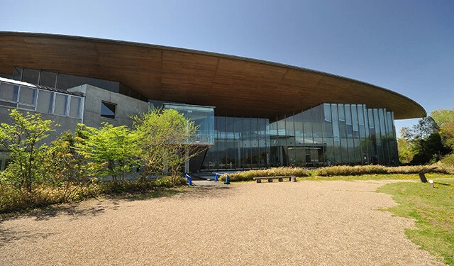琵琶湖をそのまま切り取った淡水魚水族館で大ナマズが待つ【滋賀県立琵琶湖博物館】
