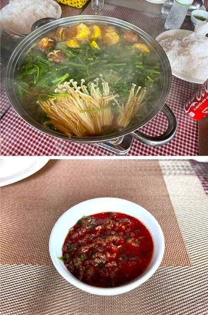 （上）アヒル鍋。ベトナムの鍋はどこでもこんなフォーマット。「ブン（米麺の丸麺）」を器にとって、そこに鍋の汁をかける。（下）アヒルのひき肉とアヒルの生き血（！）を和えたもの。せっかくなのでひと口だけ食べてみたが、味そのものは特筆するほどうまくもまずくもなかった。