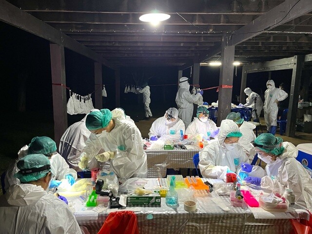 サンプリングの様子。白装束（PPE、個人防護具）を纏った20人以上の人たちが、夜中に灯りの下で作業するさまは異様以外のなにものでもないが、自然保護区の中であるがゆえ、周辺住民の目に触れて面倒なことになる、というようなことはない。素晴らしく統率がとれたメンバーで、その流れ作業には度肝を抜かれた。100匹近いコウモリの検体やデータの収集が、わずか数時間で終わった。