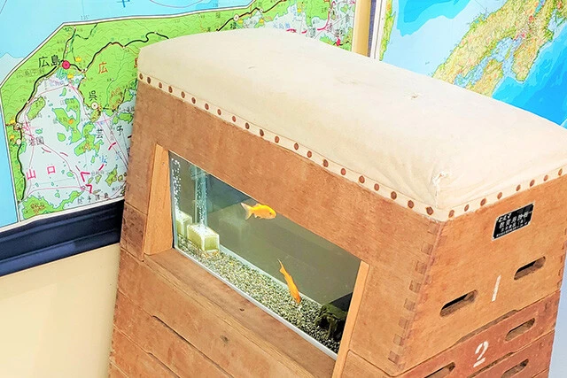 廃校をリノベしただけあって、小学校を想起させる演出があちこちに。これは跳び箱を使った水槽